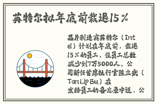 WINDOWSCHANNEL视频
